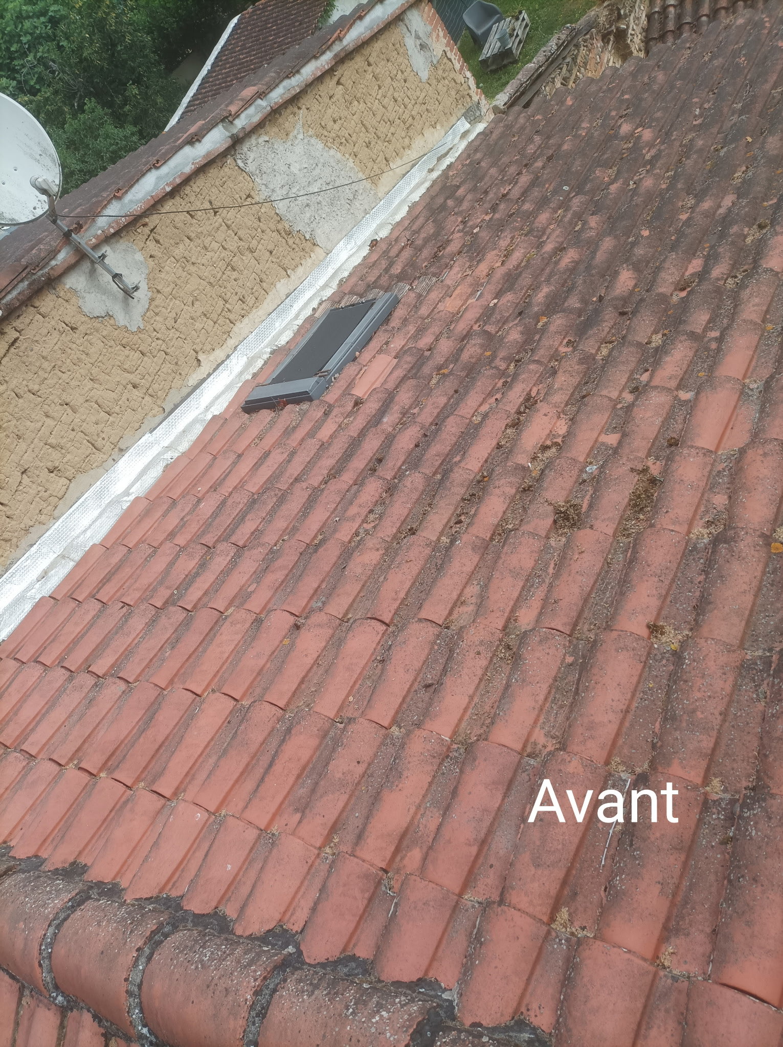 Avant nettoyage &ndash; toiture couverte de mousse